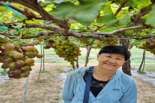 10D09N Da Nang / Hue / Hoi An/ Dalat/ Muine/ Nhatrang Tour - photo 66